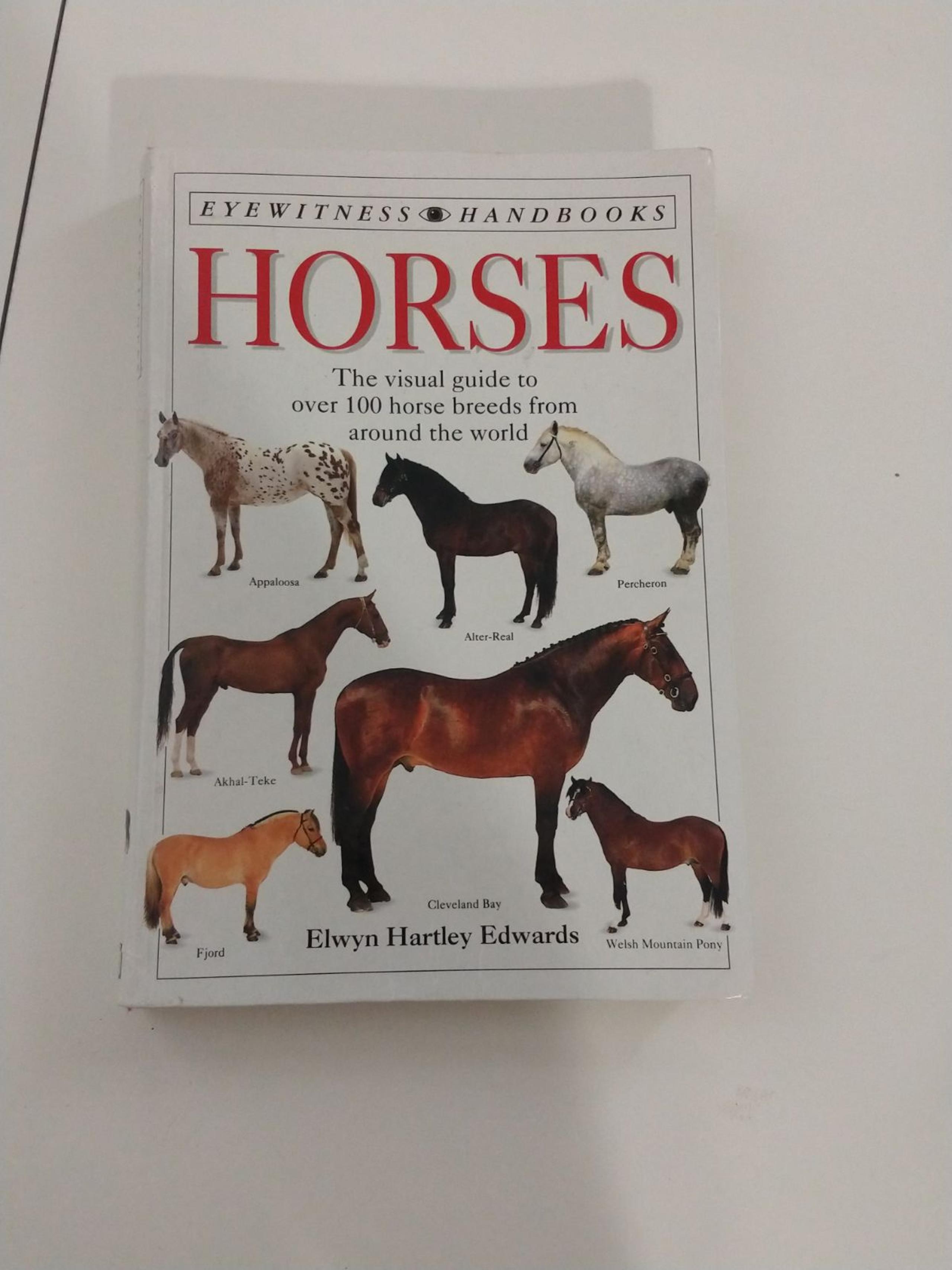 Horses Handbook