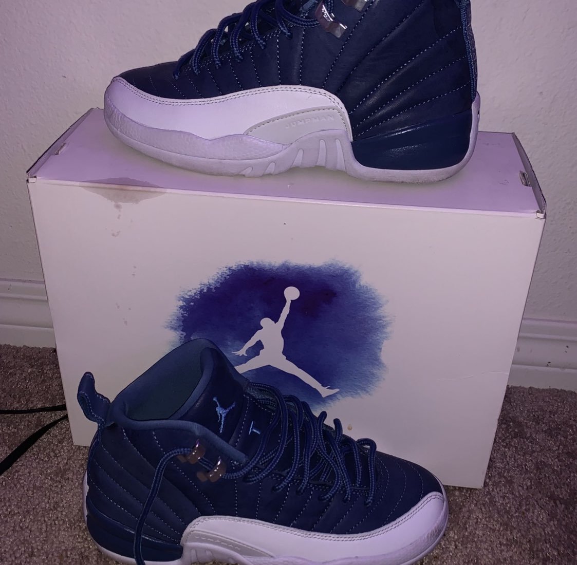 Nike Air Jordan 12 Retro Shoes