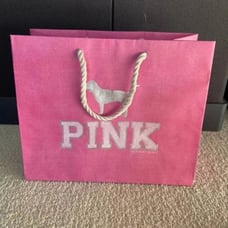 VS PINK Vintage Shopping Gift Bag