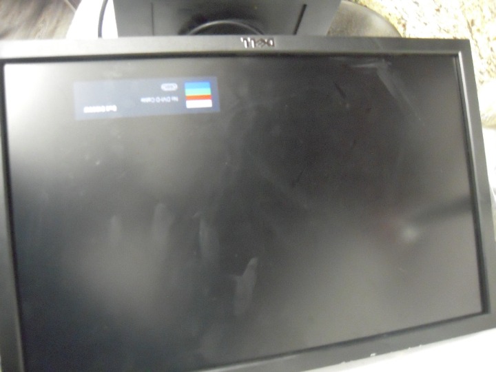 Dell 19 Monitor