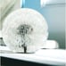 Dandelion in Resin Ball in Gift Box, 2.75inch