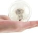 Dandelion in Resin Ball in Gift Box, 2.75inch