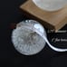 Dandelion in Resin Ball in Gift Box, 2.75inch
