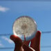 Dandelion in Resin Ball in Gift Box, 2.75inch