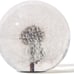 Dandelion in Resin Ball in Gift Box, 2.75inch