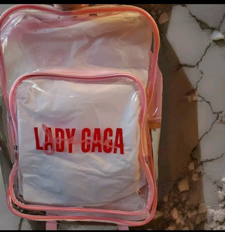 Lady Gaga Joanne Concert Tour Clear Back Pack with fluffy Pink Boa