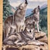Julianna James Wolf Pack Family Tapestries 33Lx16w