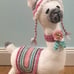 Handmade stuffed animal, llama doll, dolls, knit by hand, Handmade baby gift