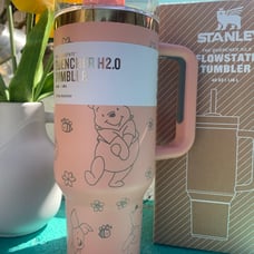 Winnie the Pooh Stanley tumbler