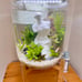 3 Gal Top Fin Aquarium With Stand - Cylinder Fish Tank COMES WITH EVERYTHING