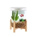 3 Gal Top Fin Aquarium With Stand - Cylinder Fish Tank COMES WITH EVERYTHING