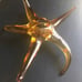 Waterford candle holder-NEW w/ Tag