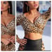 Leopard Print S Crop Top