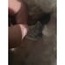 Ugg Neuman Slipper Mens size 10