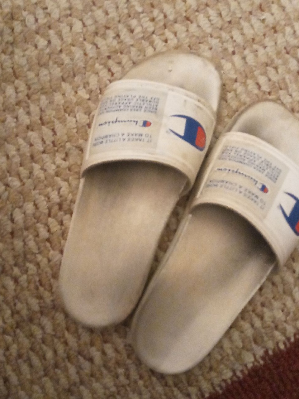 Champion slides