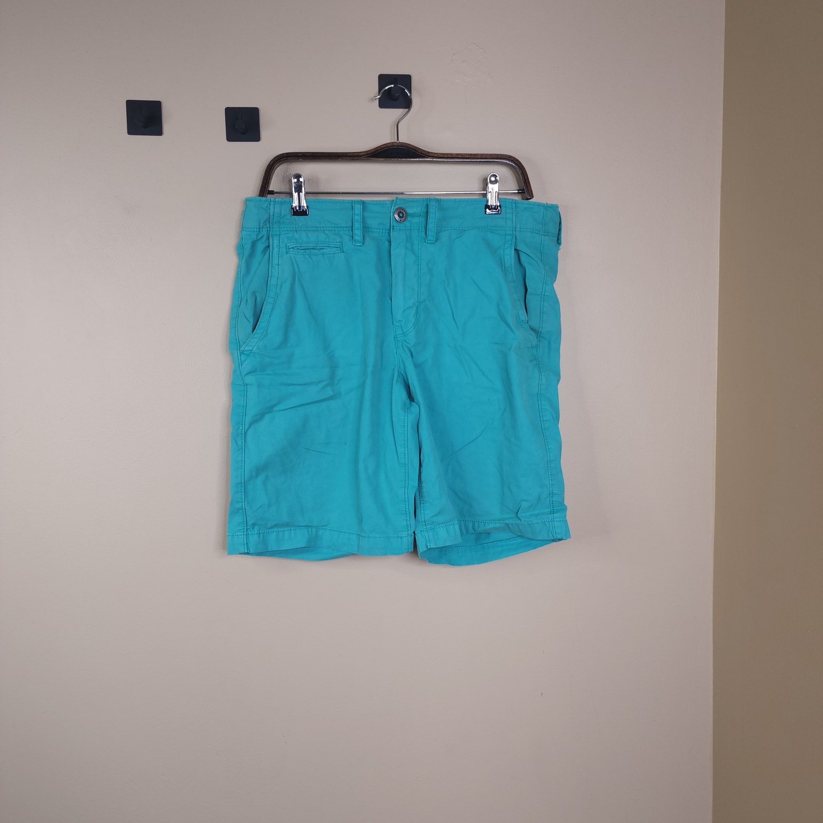 American Eagle Prep Length Cargo Pants in Teal Size 32