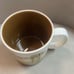 2009 STARBUCKS JACKSONVILLE FLORIDA Collector Series Coffee Tea MUG 16 oz. Brown