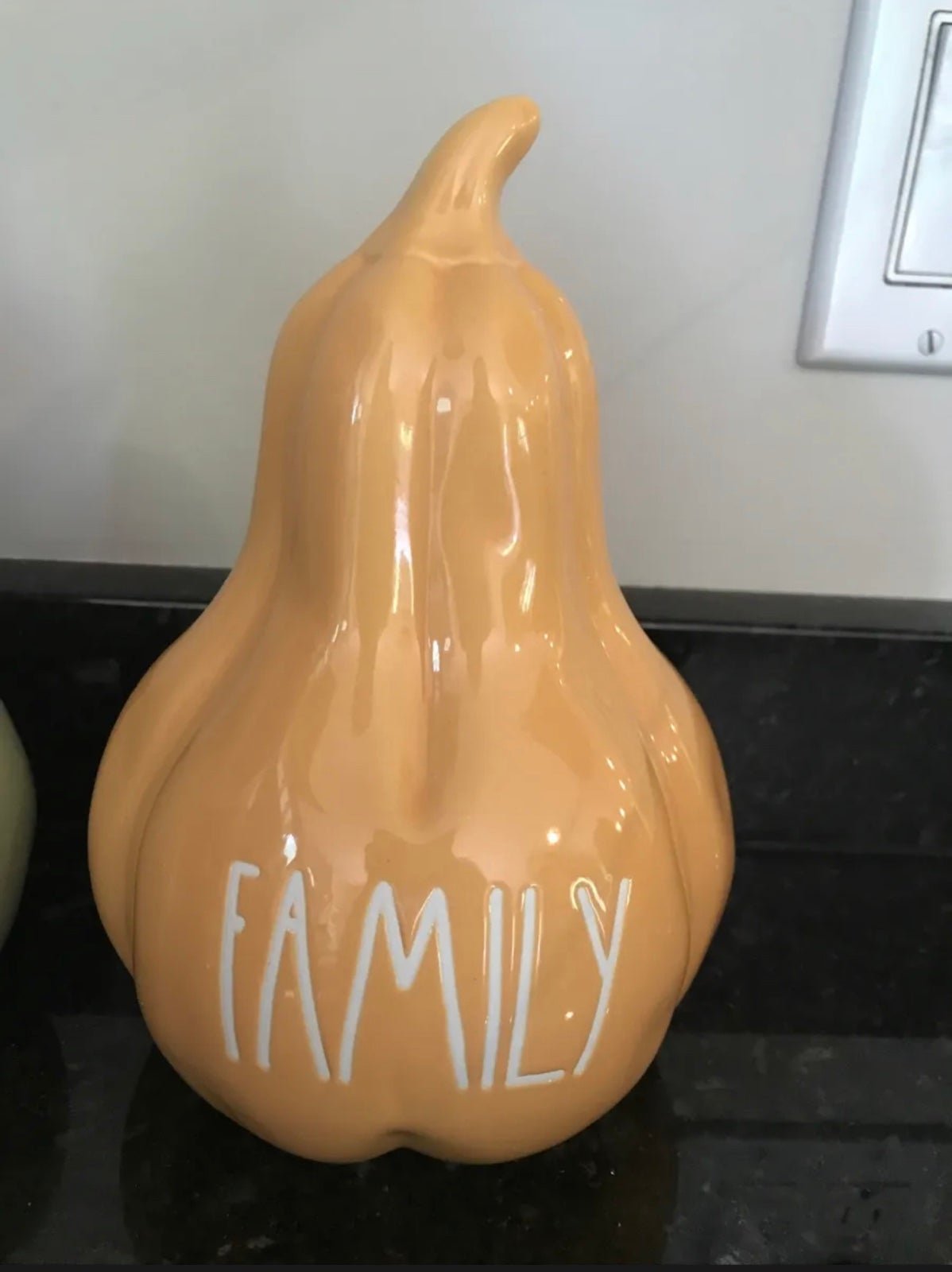 Farmhouse Large Pumpkin Squash Gourd 9” Fall Thanksgiving Home Decor