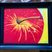 Apple Art Giclee Print, Apple painting for Kitchen decor Mother's Day Gift
