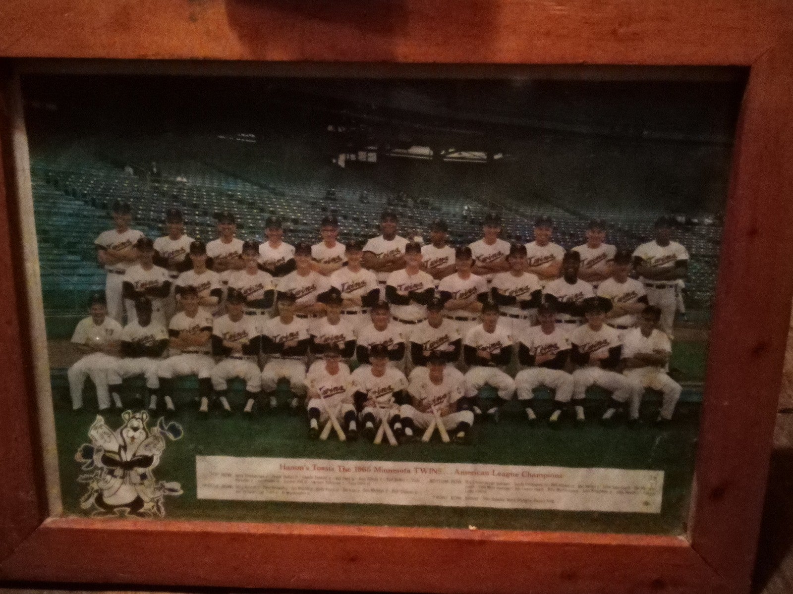 Vintage Hamm's beer 65 twins championship team photo