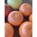 VTG Florida Ceramic Prop Fruit Orange Citrus Tropical Grocery Faux Display 13 Pc