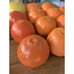 VTG Florida Ceramic Prop Fruit Orange Citrus Tropical Grocery Faux Display 13 Pc