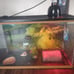 Aquarium