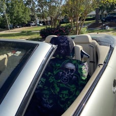 car seat cover