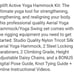 Purple Yoga hammock