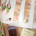 Desert Flora Cactus Beauty Bundle #9