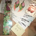 Desert Flora Cactus Beauty Bundle #9