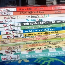 HUGE Dr Seuss Hardcover Children's Books Lot Dr Seuss Bundle Dr Seuss Lot Disney
