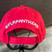 Florida Panthers Basic Logo Flex Hat Signed