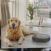 Robotic vacuum
