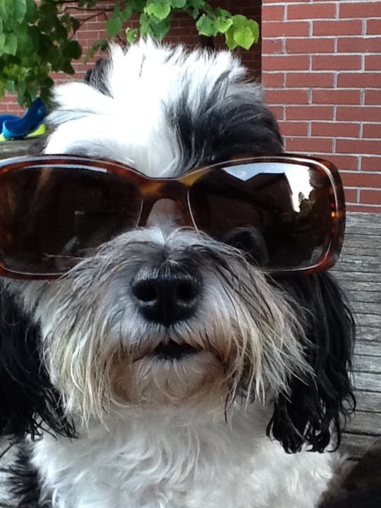 Beausoleil Paris Sunglasses