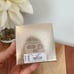 NWT Kate Spade Ribbon Boxed Set Earrings and Necklace