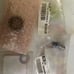 Honda parts for dirt bike CRF 250 or 450