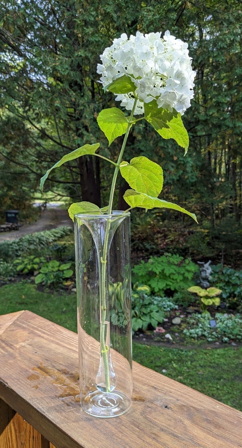 Innermost Art Glass Vase by Artist Yee-Ling Wan