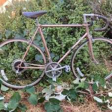 Bike Univega Bike Road Speed Bicycle Vintage Viva Sport 10 Sp Bike