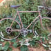 Bike Univega Bike Road Speed Bicycle Vintage Viva Sport 10 Sp Bike