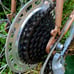 Bike Univega Bike Road Speed Bicycle Vintage Viva Sport 10 Sp Bike