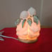 MICHEL & CO Angel Night Light Lamp by Charpente