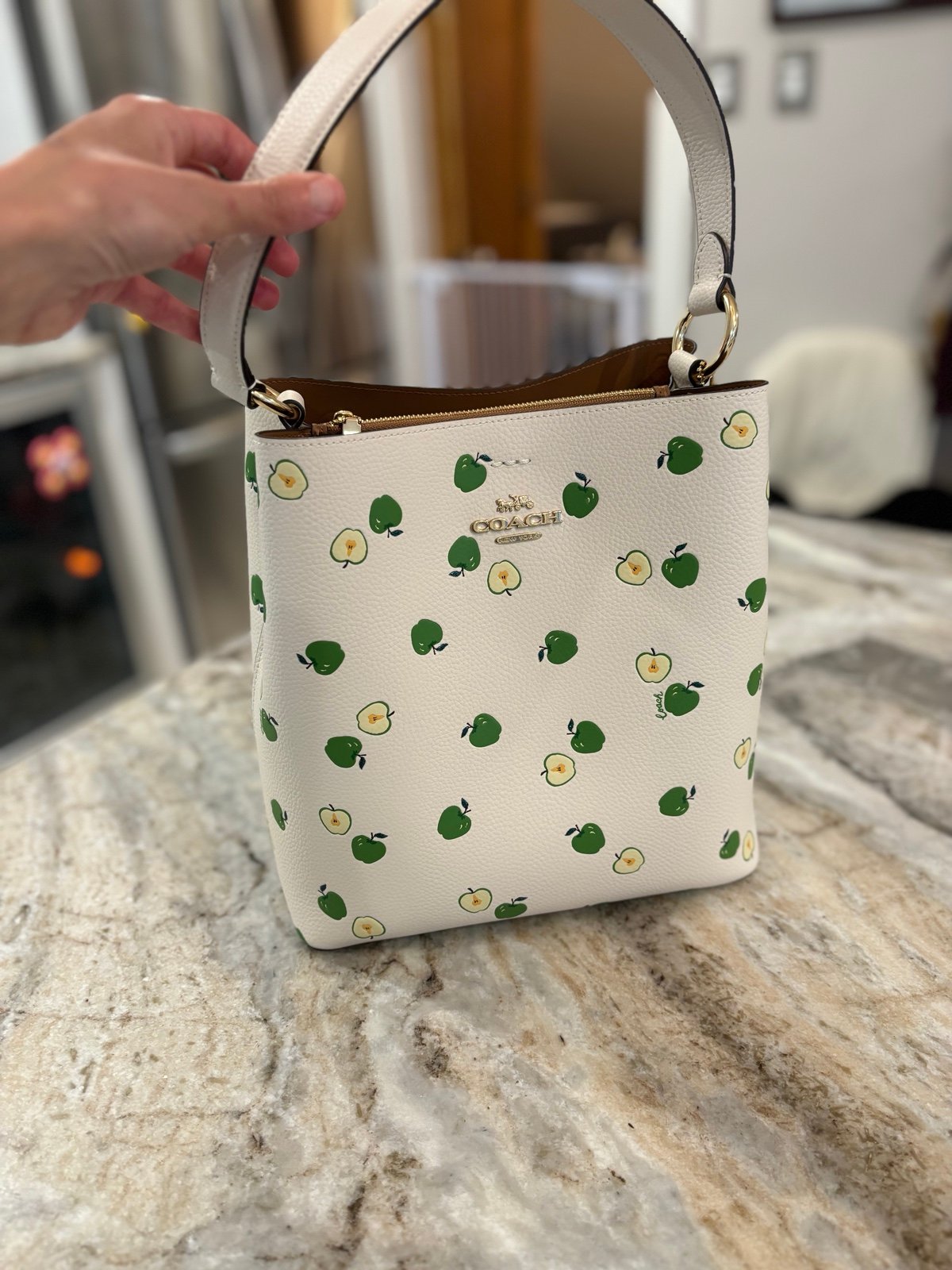 Coach bucket bag new