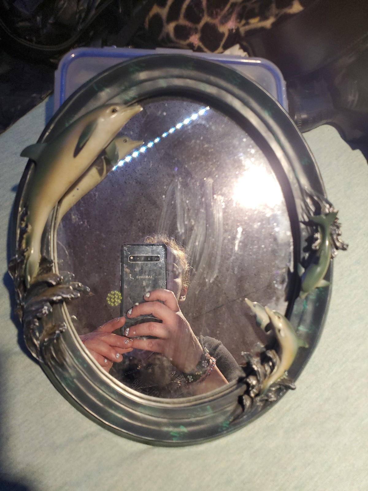 Dolphin Mirror