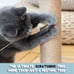 Cat Tree Scratching Cat Bed Toy Wood Scratcher Post Indoor