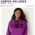Vs pink classic pant campus pullover