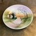 Nippon Hand Painted Plate Barn Ducks crossing scenic 1891-1920 Antique 8.5