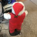Coca-Cola Santa