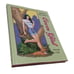 Liberty Meadows Cover Girl By Frank Cho Hardcover Hardback Brand New