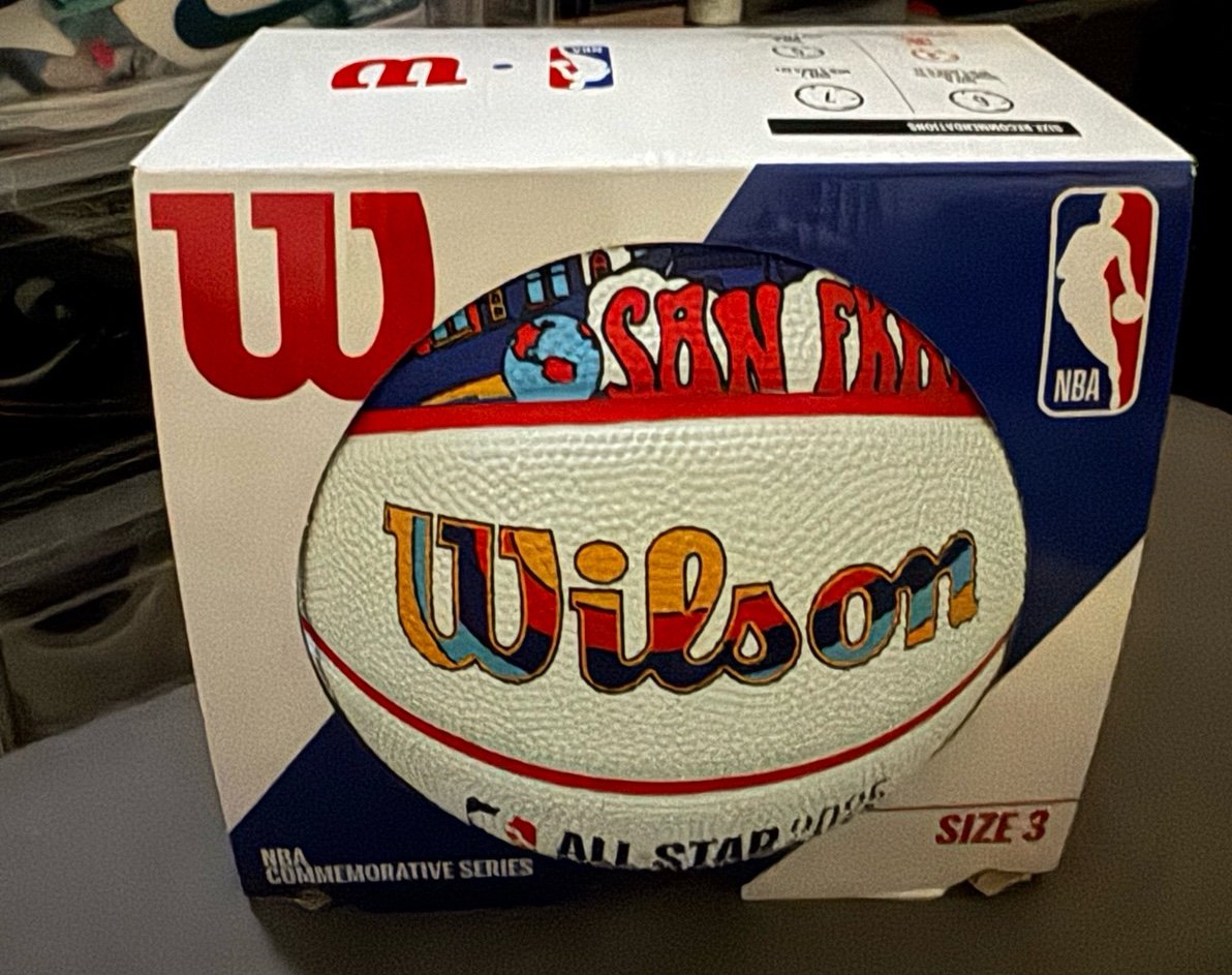 Wilson 2025 all star mini Basketball